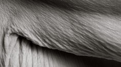 Takto vyzerá krása. Žena sa vyzliekla pred fotografkou