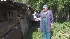 Poradovníky na palivové drevo. Niekde sa vypredalo až do konca roka, ceny navyše prudko stúpli