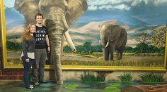 Mozog miluje všetko neštandardné, oklamať oči môže byť zábavné i poučné