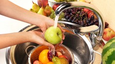 Treba si umývať ovocie a zeleninu? Bukovský odobril zaužívaný zvyk z našich záhrad