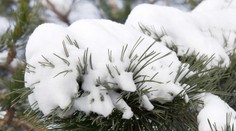 Sneženie bude pokračovať. Pozrite si, kde