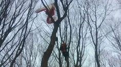 Hasiči zachránili paraglajdistu, ktorý uviazol na strome