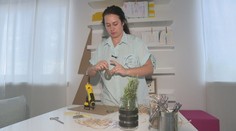 Niekedy stačí aj zubná pasta. Veronika ukázala, ako spraviť z Vianoc ekologické sviatky