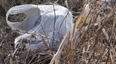 Novorodenca odhodeného pri Námestove niekto zavraždil