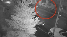 Vrah z Michaloviec mohol na obeti ľahko zanechať svoje DNA, hovorí expert