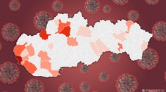 Na Slovensku v utorok potvrdili 25 prípadov nákazy. Infikovaní sú najmä z Bratislavy