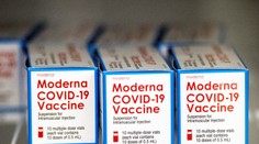 Máme druhú vakcínu proti koronavírusu! Je od firmy Moderna a ľahšie sa skladuje