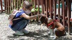 Vedci zisťujú, či môžu psy reagovať na infikovaných s koronavírusom