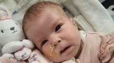 Prevoz na liečbu do zahraničia Briti zakázali, doma ju odpojili od prístrojov. Osemmesačná Indi zomrela