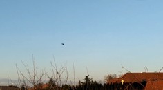 V Hlohovci hľadajú matku dvoch detí. Mal ju uniesť exmanžel