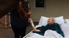 Dedkovi splnili jediné želanie. Radostný príbeh má však smutný koniec