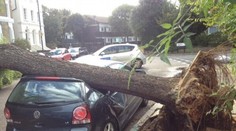 Vietor na Slovensku strháva strechy a láme stromy