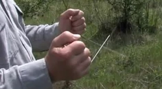 Ako fungujú prútikári? Vyjadril sa odborník