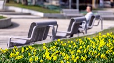 Máme pred sebou ďalší letný víkend. Na juhu môžu teploty stúpať poriadne vysoko