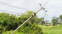 Silný vietor poriadne vyčíňal. Vyvracal stromy, ktoré zranili až tri osoby