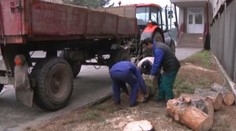 Drevo pre trebišovských Rómov zadarmo. Zistili sme, ako to je