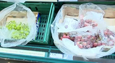 Kuriózny rozsudok: Polročné väzenie za tri bobule hrozna