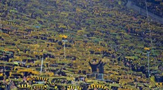 Dortmund zdolal Mainz. Zápas poznačila tragédia