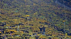 Dortmund zdolal Mainz. Zápas poznačila tragédia