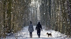 Večer pred Štedrým dňom ešte nasneží. Pozrite sa, kde napadne do 20 cm snehu