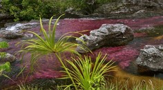 Takúto nádhernú rieku ste ešte nevideli