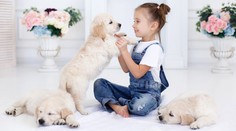 Zvieratko pod stromčekom: Je to záväzok, ktorý nevie vaša ratolesť naplniť