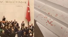 VIDEO: Bitka v tureckom parlamente. Potýčke sa nevyhli ani poslankyne