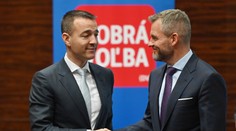 Spolupráci Dobrej voľby s Hlasom dal snem zelenú