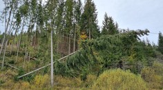 Silný vietor a hrozí aj mohutná víchrica. V týchto okresoch si na horách dávajte pozor