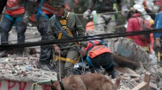 Zemetrasenie v Mexiku má už 293 obetí. Z trosiek zachránili asi 70 ľudí