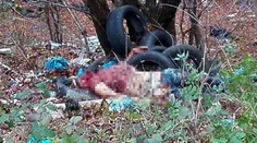 Pod Pezinskou Babou našli mŕtveho muža. Podľa experta za tým môže byť mafia