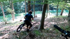 Najnovší zážitok so zúrivou medvedicou. Pri Martine vybehla na dvoch bikerov. Dramatické video zaznamenali na GoPro kamere