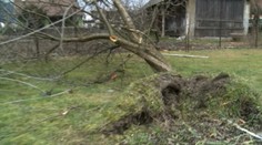 Pozrite sa, čo napáchala víchrica na Slovensku (video)