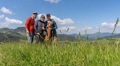 Jano Tribula mal na horách netradičného hosťa. Na potulky sa vydal s alpakou