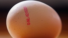 Fipronil objavili vo vajciach v siedmich ďalších chovoch nosníc