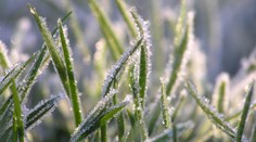 Apríl sa prejaví v plnej kráse! Bude opäť mrznúť