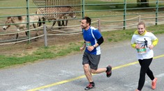 Zvieratá v košickej zoo sa čudovali, čo robia návštevníci