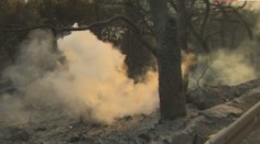 Požiar pri chorvátskom Šibeniku majú hasiči pod kontrolou. Z miesta sa stalo veľké zhorenisko