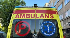 Chovali nemecké dogy a francúzske buldogy. Dievča (†7) ich išlo vypustiť z koterca, dohrýzli ho na smrť