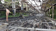 Obrovský požiar zničil chov hydiny, uhynulo 6 000 sliepok a 500 kohútov