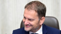 Matovičove podmienky sú výrazne v neprospech záujmu prestíže SaS, myslí si politológ