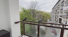 Okupujú balkóny a výkalmi ohrozujú naše zdravie. Tu je niekoľko rád, ako odohnať holuby