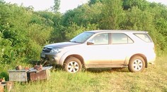 Včelárom z východu Slovenska niekto zabíja včely. Tvrdia, že starosta