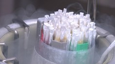 Život z mrazu. Deti si môžete odložiť o pár rokov