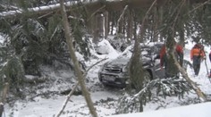 Silný vietor a sneh páchal po Slovensku škody: Šmýkali sa cesty, ľudia ostali bez elektriny