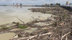 Turbíny v Gabčíkove idú na plné obrátky. Problémové sú však masy naplaveného dreva