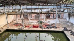 FOTO: Muž spadol do krokodílieho výbehu. Roztrhali ho na kusy