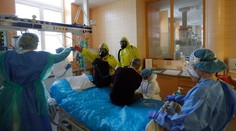 Nový príznak koronavírusu? Vedci to zdôvodňujú paralelou s pľúcami