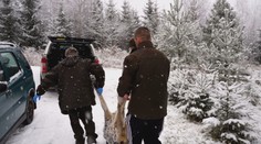 Kvóta na strieľanie vlkov je zatiaľ mimo hry. Taraba sa sústreďuje na medveďov