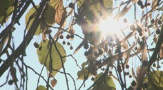 Slnko ukazuje odvrátenú tvár. Na jeho povrchu je čoraz viac tmavých škvŕn, ktoré nás ohrozujú